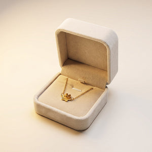 Boîte cadeau en velours beige (écrin rigide)